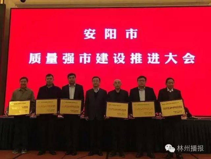 安阳新闻频道回放：那些我们错过的故事